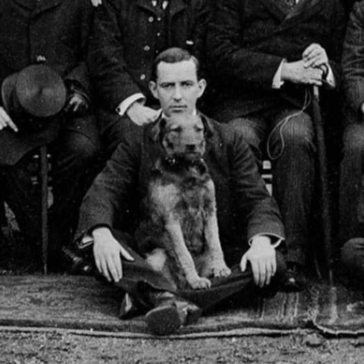 Close up from a LSHTM staff and students photograph from 1904, showing a dog sat in a mans lap.