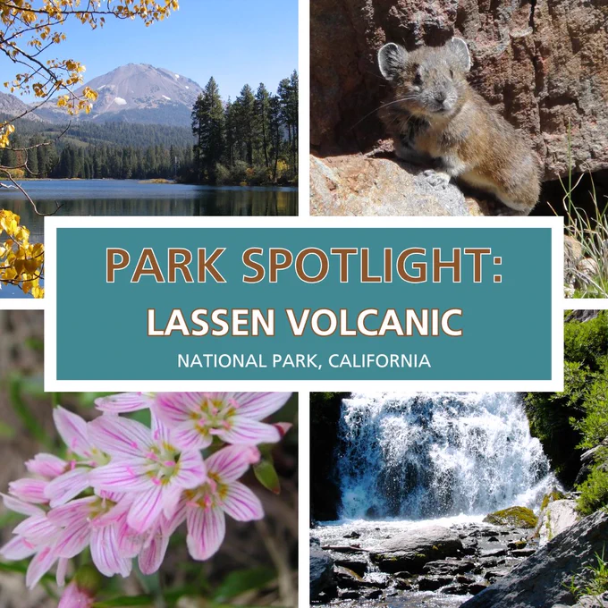 A collage of 4 photos, and in the middle it says, "Park spotlight: Lassen Volcanic National Park, California". The top left photos has a clear lake with a mountain behind it. The top right has the American pika, a small rodent. The bottom left has pink wildflowers. The bottom right is a waterfall above some smooth gray rocks.