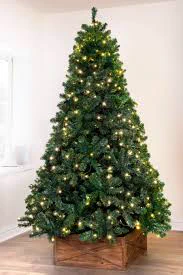Photo shows: Picture of a christmas tree that is lit up with warm coloured tree lights on.