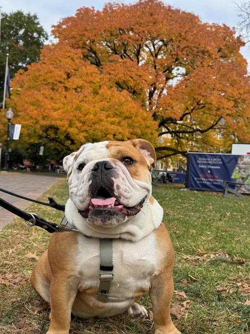 Jack smiles with the Copley lawn tree in bright orange behind him