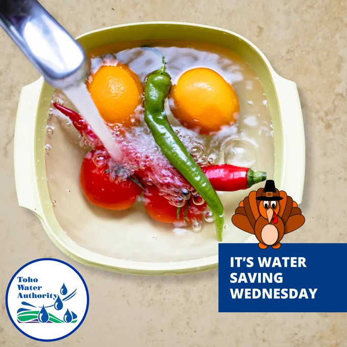 Shown is a photo of vegetables in a bowl of water with the faucet on and water pouring into the bowl. The words "It's Water Saving Wednesday" are located in a blue rectangle in the bottom right and the Toho logo is located in the bottom left. A cartoon turkey sits on top of the blue rectangle. 