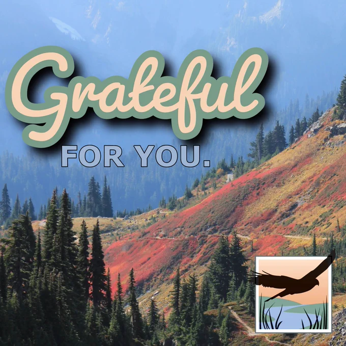 Grateful For You with Refuge Associaiton logo over beautiful sloping evergreen forest on mountain snow and evergreesns in back create a blue hue while reds, yellows, golds, oranges, and greens of foliage in forefront
