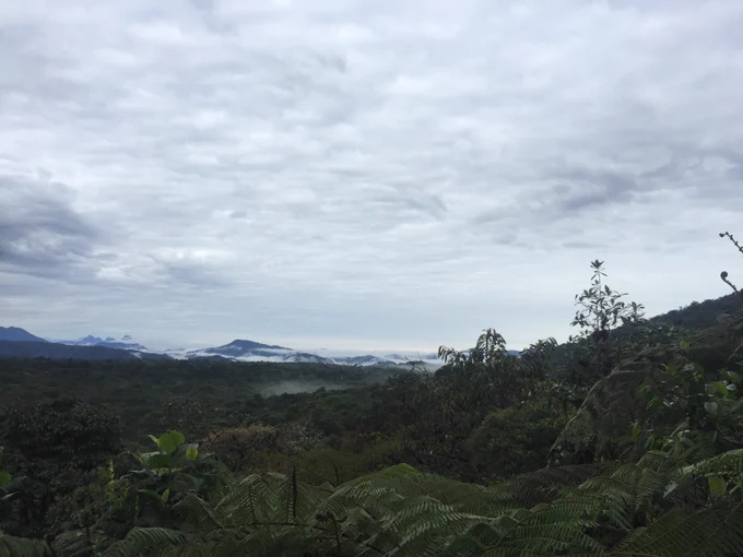 ForestGEO La Planada plot in Colombia 