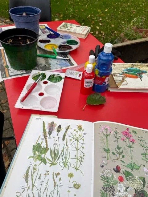 Table set with two plant pots that have been planted with bulbs and painted bright colours, using images from botanical books for inspiration.