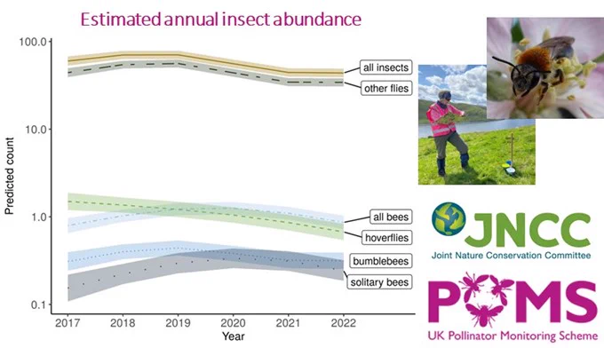 A graph showing estimated annual abundance for different groups of pollinating insects (source: UK Pollinator Monitoring Scheme (2024) The UK PoMS Annual report 2023. UK Centre for Ecology & Hydrology and Joint Nature Conservation Committee). Photo of a volunteer recorder next to a pan trap in the field (photo by Miranda Bane) and Andrena haemorrhoa on a flower (photo by Nadine Mitschunas). Logos of the UK Pollinator Monitoring Scheme and the Joint Nature Conservation Committee.
