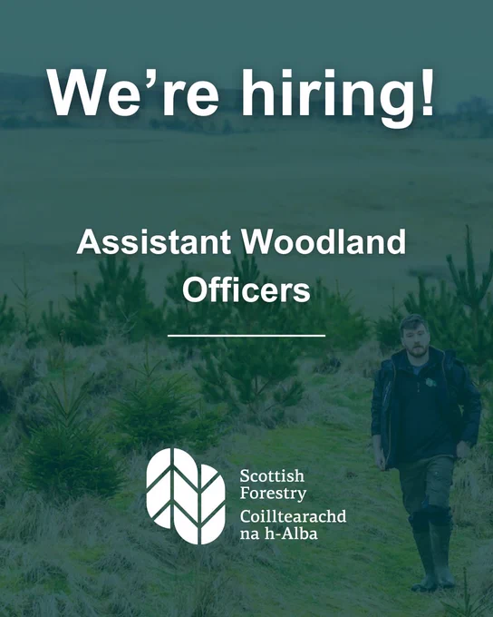 We're hiring - Assistant Woodland Officers