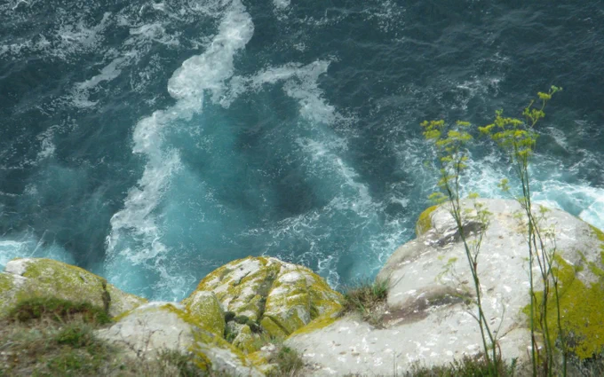 Cliffs at Cíes Islands, Vigo - Photo by Future Oceans Lab, University of Vigo.