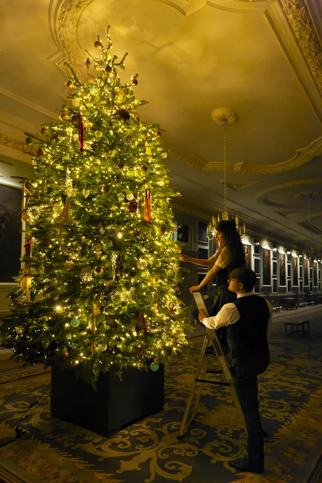 Two individuals decorating a large Christmas tree with lights and ornaments in an ornate room with decorative ceilings.