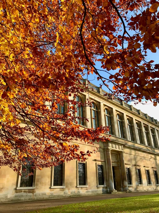The Wren Library peeking from behind copper beech leaves.