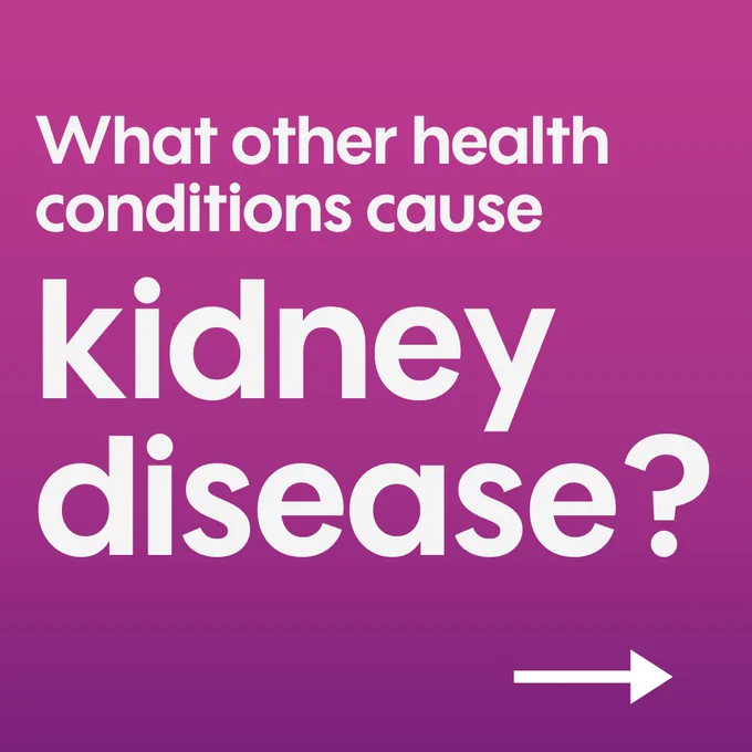 Text on a purple background asking, 'What other health conditions cause kidney disease?' with an arrow pointing right.