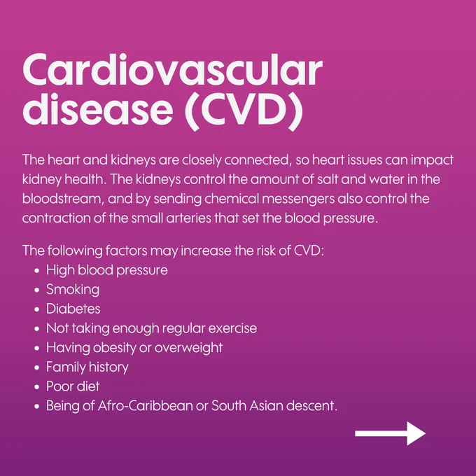 An informative graphic about cardiovascular disease (CVD), emphasising its relationship with kidney health and listing risk factors like high blood pressure, smoking, obesity, lack of exercise, and poor diet. 
