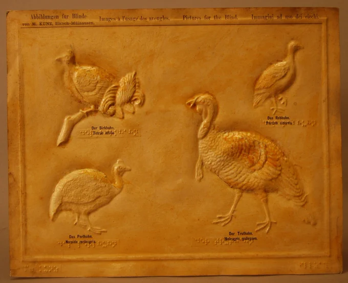 Relief picture of a turkey, a grouse, a partridge, and a guinea hen. The common name for each bird is provided in German print and braille underneath each bird; the Latin name for species is identified in print.