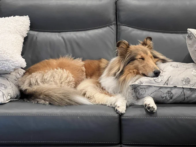 me sleep