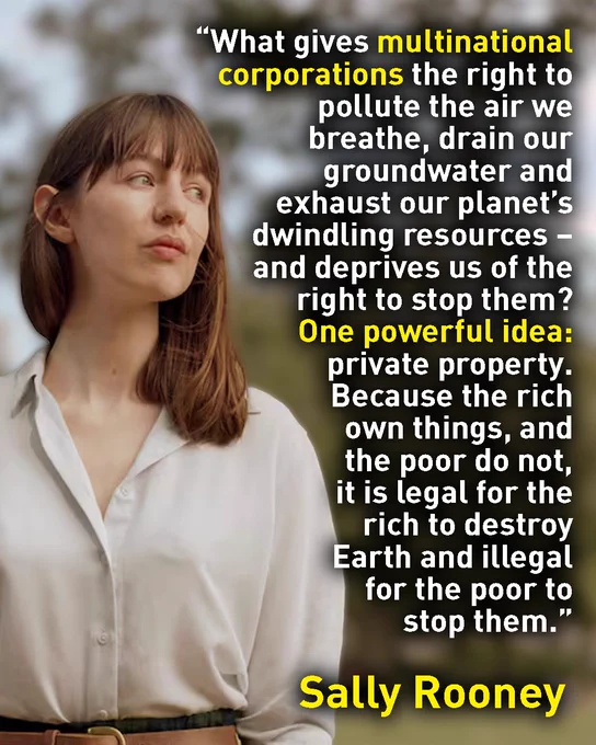 Quote from the author Sally Rooney that says - "What gives multinational corporations the right to pollute the air we breathe, drain our groundwater and exhaust our planet’s dwindling resources – and deprives us of the right to stop them? One powerful idea: private property. Because the rich own things, and the poor do not, it is legal for the rich to destroy Earth and illegal for the poor to stop them. "