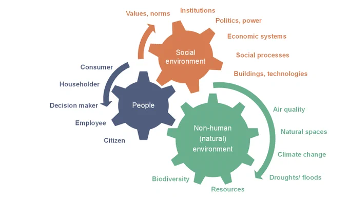 Infographic shows interrelationship between three dynamic components:

People – their actions, thoughts and experiences as individuals, householders, employees, decision-makers, consumers, citizens, etc.
The social environment – including existing social norms, values, cultures, institutions, political systems, social processes, human-made structures (roads and buildings) and technologies.

The natural (non-human) environment – including natural resources (e.g., energy, water), climate, biodiversity, environmental processes and problems (e.g., air pollution, floods, droughts).