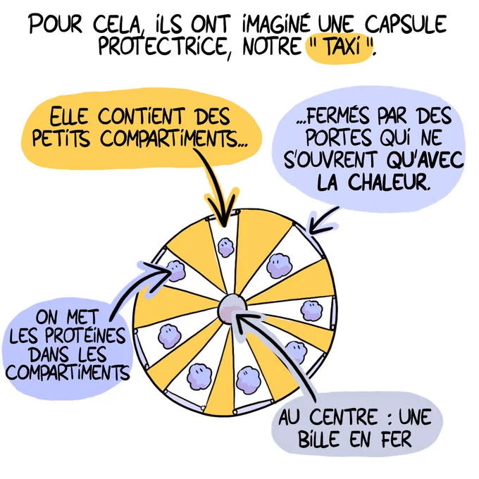 © Camille Van Belle pour le CNRS Alsace | Instagram @cevebe_dessin 