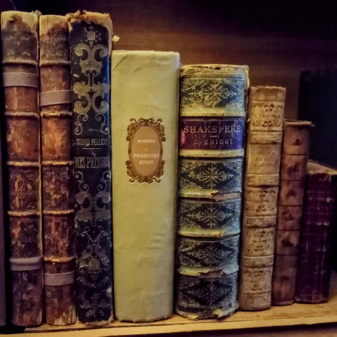 8 volumes of old books on a shelf, arranged by size with the tallest on the left and shortest on the right. The reference for the smallest book, a copy of The Bible, is s.21.9
