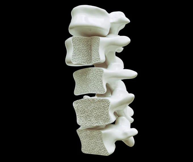 3D illustration of a human spine segment showing details of the vertebrae and intervertebral discs, set on a dark background.