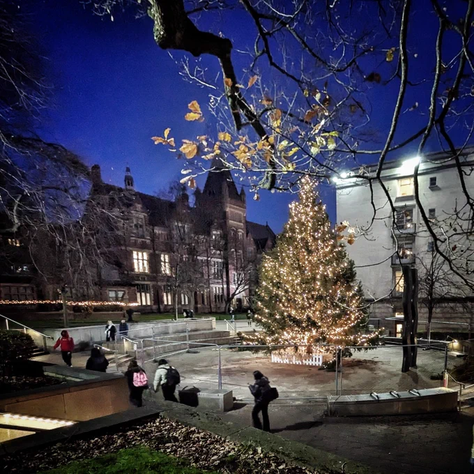 A illuminated Christmas tree is in the middle of Beech Grove Plaza on campus. It's surrounded by a fence as they haven't quite finished the installation. It's getting dark on the photo 