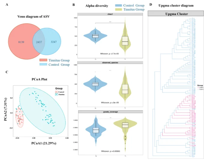 Gut microbiome dysbiosis in tinnitus group. (A) A Venn diagram demonstrating the existence of ASVs in the tinnitus and healthy groups. The area where two circles intersect indicates the number of ASVs shared between the two groups. (B) Significant differences existed in alpha-diversity between the two groups, including Chao1, observed_otus, and goods_coverage. Wilcoxon rank-sum test was used. (C) The PCoA was performed using an unweighted UniFrac matrix. (D) UPGMA cluster diagram. The UPGMA is based on unweighted UniFrac metrics.