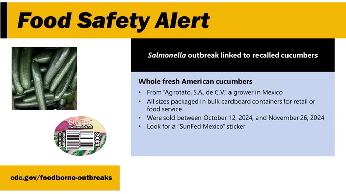 Whole 
fresh American cucumbers with text saying:
Salmonella outbreak linked to recalled
cucumbers.

Whole fresh American cucumbers.

•	From “Agrotato, S.A. de C.V.” a grower in Mexico
•	All sizes packaged in bulk cardboard containers for retail or food service
•	Were sold between October 12, 2024, and November 26, 2024
•	Look for a “SunFed Mexico” sticker

cdc.gov/foodborne-outbreaks.