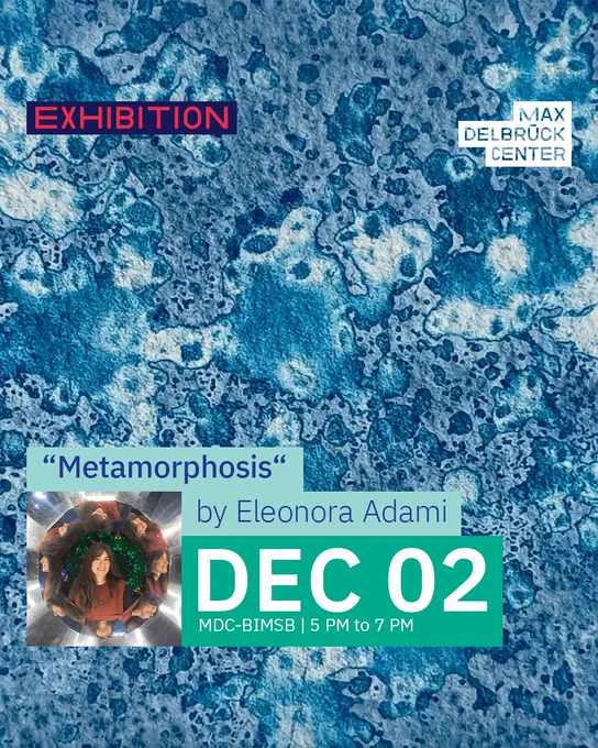 Graphic with text: event poster for the exhibition "Metamorphosis" by Eleonora Adami on December 2, 5 PM to 7 PM, at MDC-BIMSB. The background features abstract blue textures stemming from cyanotype printing. 
