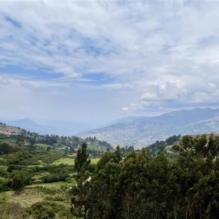 Large valley with trees and signs of agriculture in the distance.