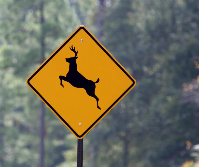 Deer crossing sign