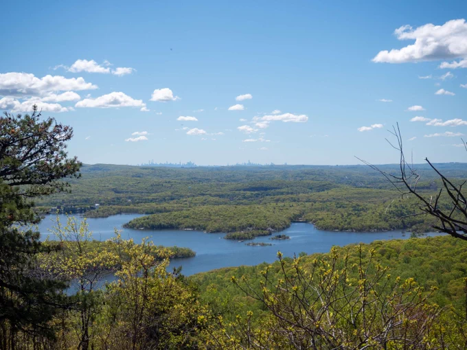 a view of a wetland on a sunny day with the NYC skyline in the distance