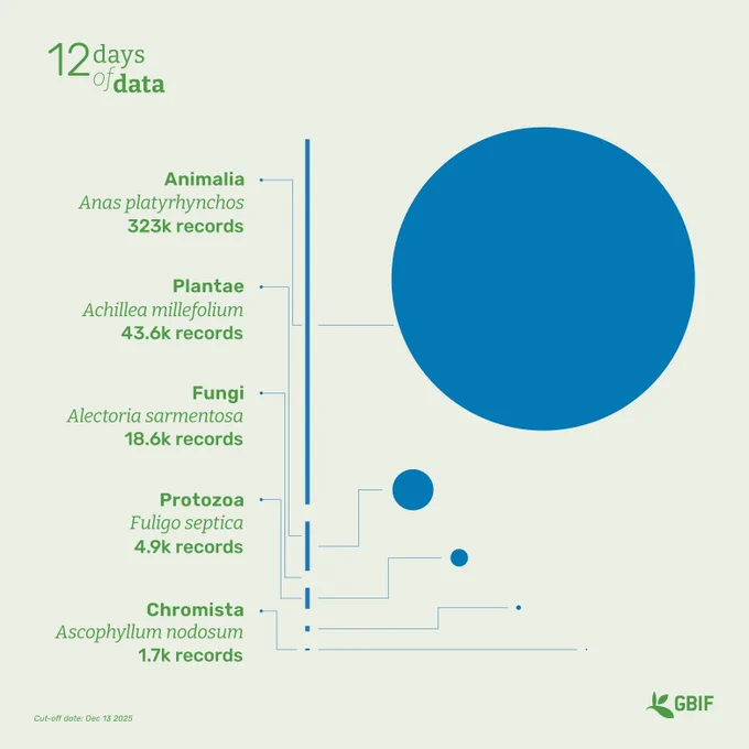Large blue graph showing the most recorded species by major group