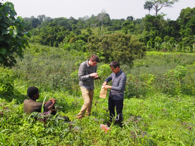 Echantillonnage de plantes, Congo, décembre 2024 © Leo Blondet, Cirad