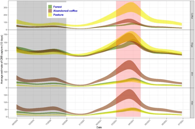Estimated number of CBBs over time based on adjacent land use and trap position. The orange-colored area corresponds to the period of berry development and the peak of greatest CBB emergence from the residual berries of the previous harvest.