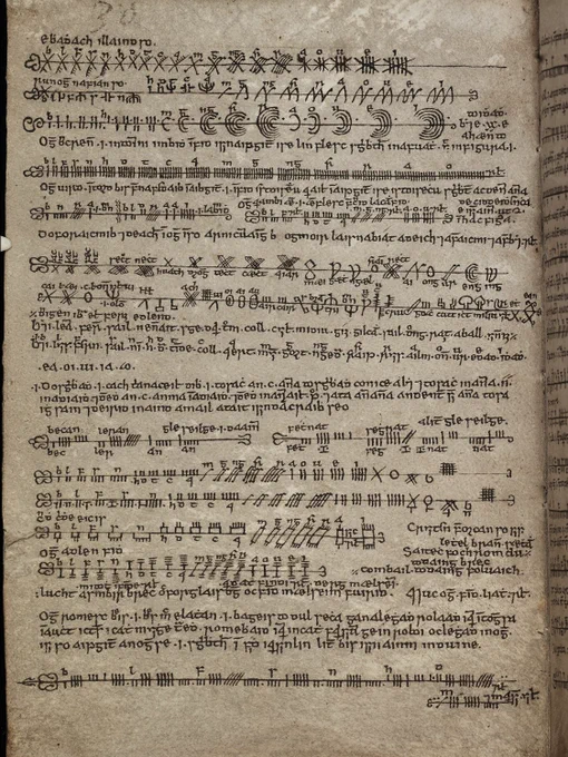 TCD MS 1337 (H.3.18)
(c) Trinity College Dublin, Irish Script on Screen