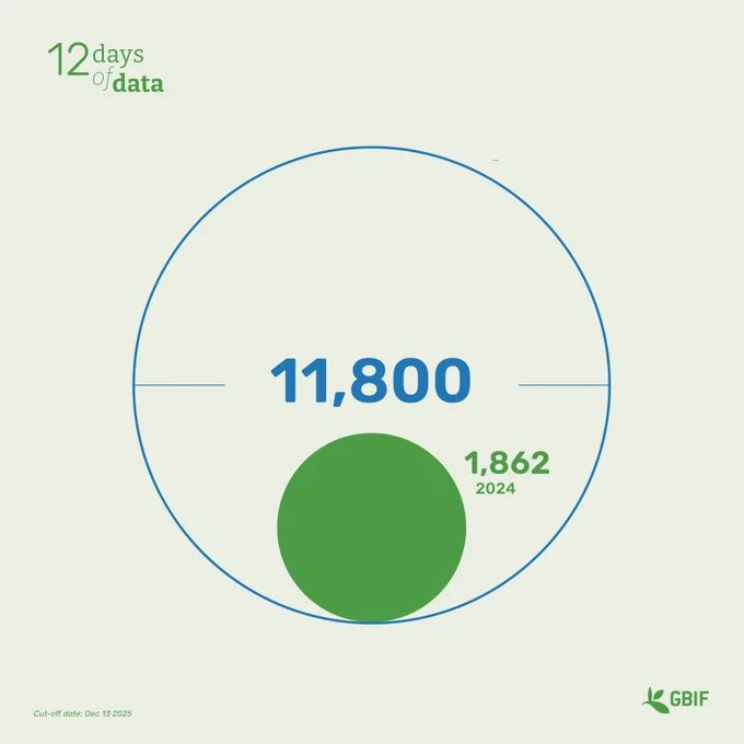 large blue circle showing 11800 and small green circle showing 1862 with the gbif logo