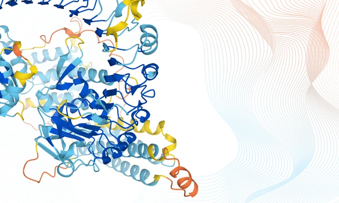 A protein structure prediction from the AlphaFold Database 