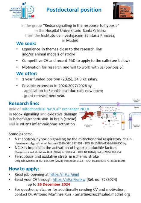 Postdoctoral position at the group of Dr. Antonio Martínez Ruiz at the IIS Princesa in Madrid