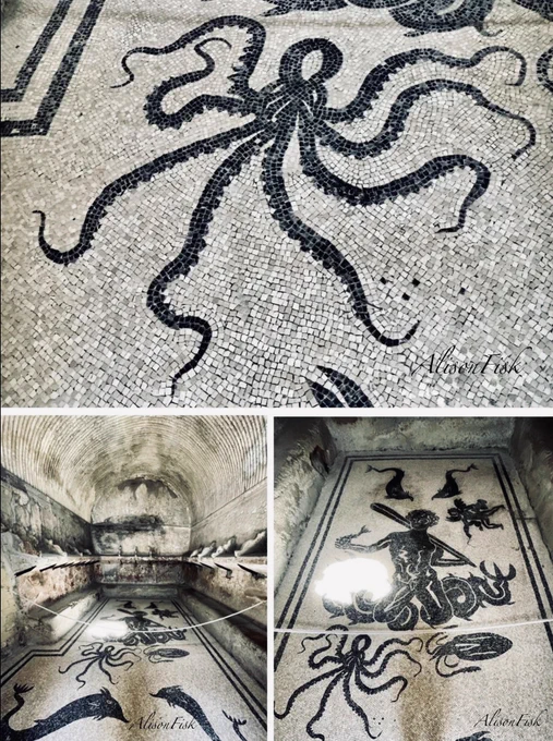 My photo collage shows details of the black and white mosaic floor in the women’s changing room at the Central Baths, ancient Herculaneum. The mosaic depicts a marine scene featuring the sea god Triton, with a cherub, dolphins, an octopus and a squid (shown in photo at bottom right). Top photo shows a close-up of the octopus. My photo at bottom left shows a full view of the women’s changing room; mosaic floor with barrel ceiling, and benches on each side of the room with shelving above for clothing.