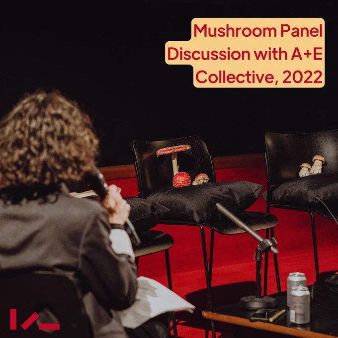 A photograph from behind someone holding a microphone. The person looks in front of them towards three seats with mushrooms placed on top of cushions. Overlayed text reads: Mushroom Panel Discussion with A E Collective, 2022