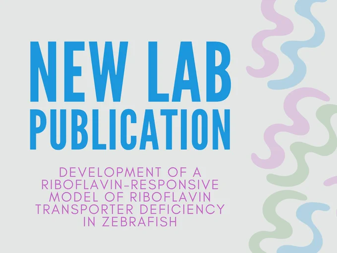 New lab publication - development of a riboflavin-response model of riboflavin transporter deficiency in zebrafish