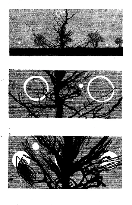 small hours
big time

some nights / grating
a bad tree from a bad place

reading the notes on Charterhouse Warren
and seeing it very clearly 