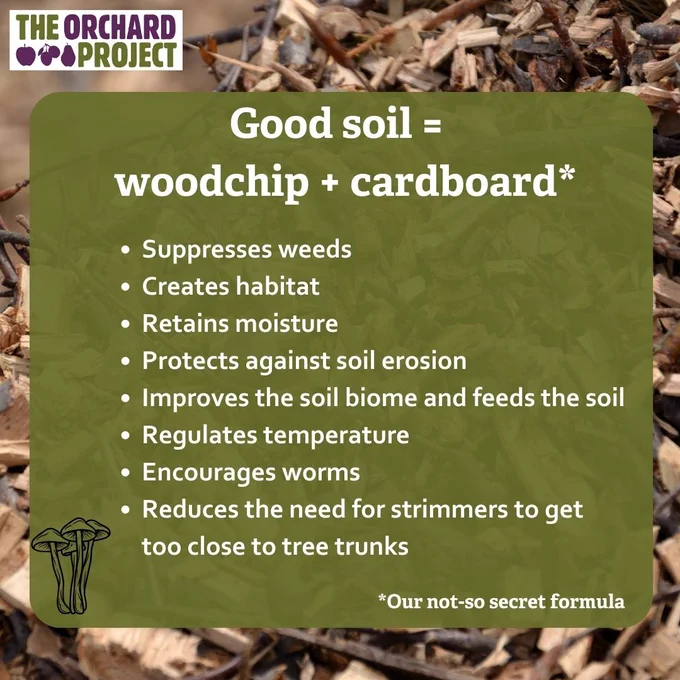 Graphic with woodchip background and text: 'Good soil = woodchip   cardboard. Suppresses weeds, creates habitat, retains moisture, protects against erosion, improves biome, regulates temperature, encourages worms, reduces need for strimmers to get too close to trees.'