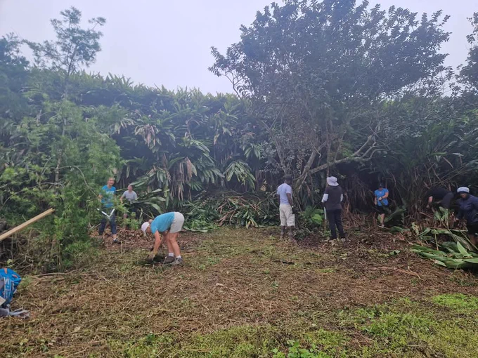 Volunteers cleared invasive species in Green Mountain National Park 