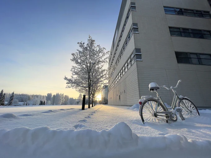 Talvinen kuva kampuksesta. Kuvan oikeassa reunassa näkyy rakennus ja sen edustalla pyörä. Pyörä on lumen peitossa. Taustalla aurinko paistaa puiden välistä.