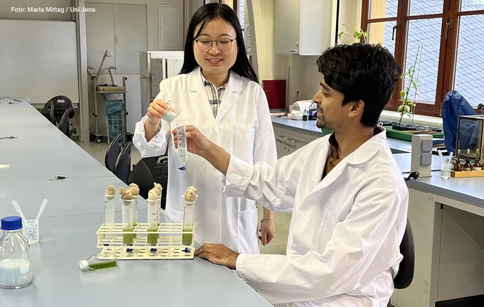 Dr Trang Vuong (l.) and Dr Prateek Shetty show the growth of the green algae in the spatially structured 3D environment compared to conventional cultivation conditions in the laboratory.