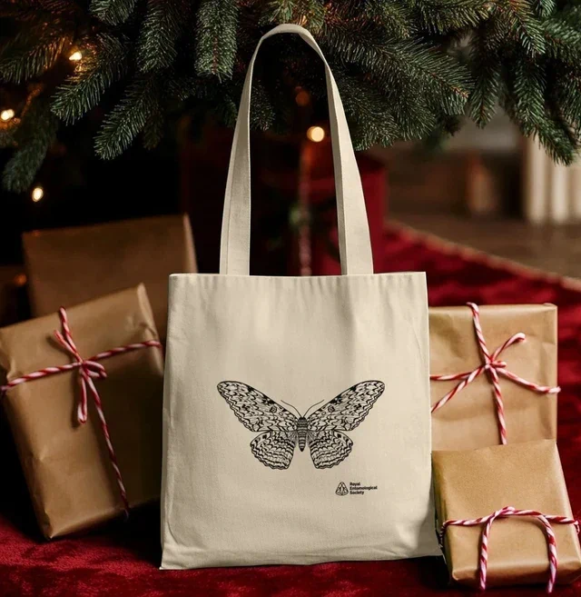 Aggrippina moth tote bag surrounded by wrapped gifts under a Christmas tree