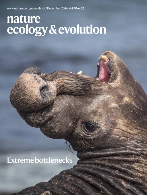 Cover image of the December issue of Nature Ecology and Evolution, showing a male northern elephant seal bellowing