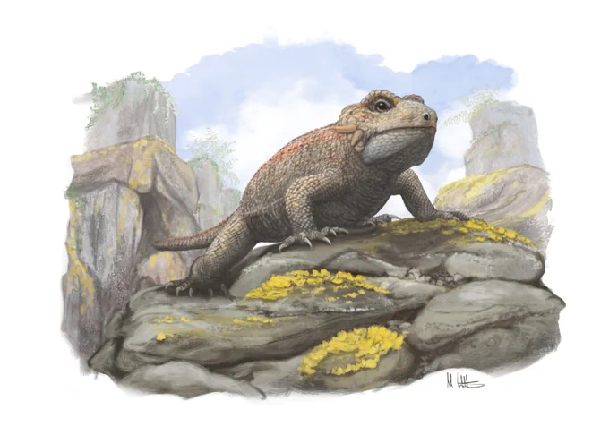 Life reconstruction of the newly described procolophonid Threordatoth chasmatos among the fissures of Carnian–Norian southwest England, based in part upon aspects of the anatomy of the closely related Hwiccewyrm. Artwork by Mark Witton.
