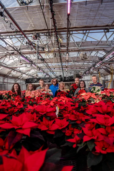 President Amy Parsons posing for a picture with Dean Lawrence-Dill and College of Agricultural Sciences students and faculty in front of hundreds of red poinsettias. 