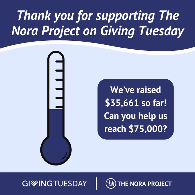 A light blue graphic has a navy blue wave shape with white text that reads ' Thank you for supporting The Nora Project on Giving Tuesday' with a fundraising thermometer below it filled in halfway. A navy rectangle to the right has text that reads 'We’ve raised $35,661 so far! Can you help us reach $75,000?' At the bottom is a navy blue bar with white Giving Tuesday and The Nora Project logos.