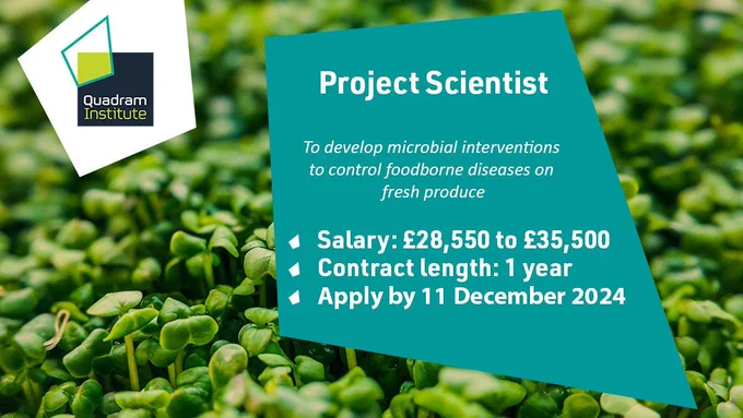 A photo of cress seedlings with the Quadram Institute logo and the text "Project Scientist, to develop microbial interventions to control foodborne diseases on fresh produce. Salary: £28,550 to £35,500, Contract length: 1 year, Apply by 11 December 2024"